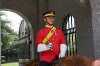 guard on horse